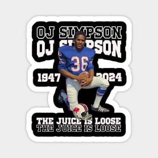 OJ SIMPSON MUGSHOOT T-SHIRT Magnet