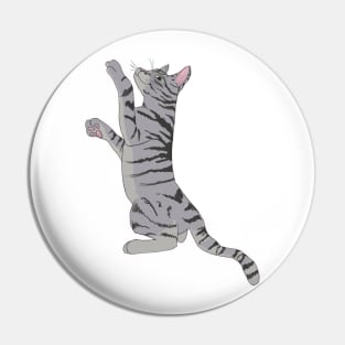 Playful Gray Tabby Cat Pin