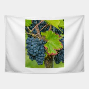 Vineyard, Kaiserstuhl, South-West Germany Tapestry