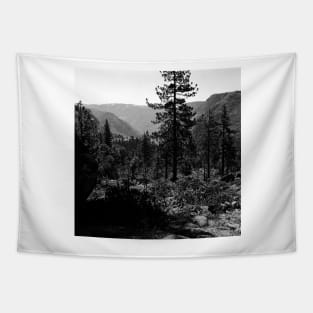 Near Hetch-Hetchy in Yosemite N.P. Tapestry