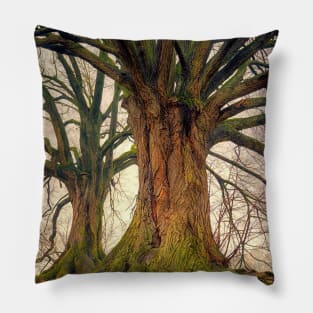 Tree Design Neck Gator Big Trees Tree Pillow