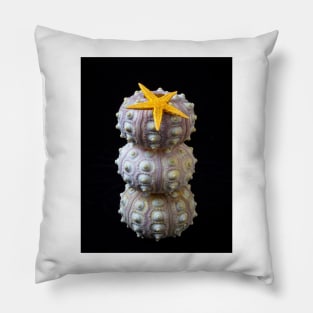 Starfish On Stacked Sea Urchins Pillow