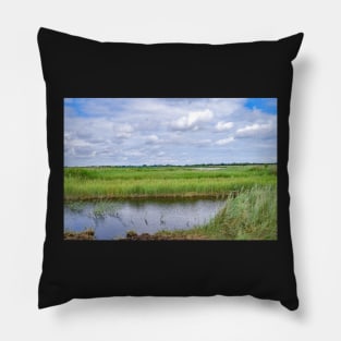 A view across Hickling Nature Reserve Pillow