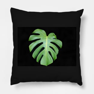 Bright green monstera leaf on black background closeup Pillow