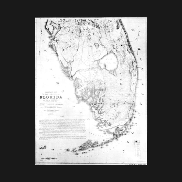 Vintage Map of Southern Florida (1856) by Bravuramedia