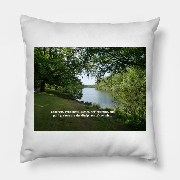 Calmness, gentleness, silence, self-restraint, and purity: these are the disciplines of the mind. Pillow by fantastic-designs