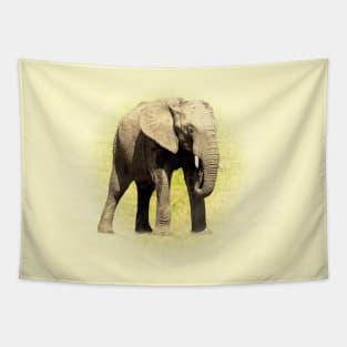 African elephant Tapestry