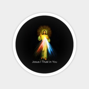 Jesus Divine Mercy I Trust in You Sacred Heart Catholic Magnet