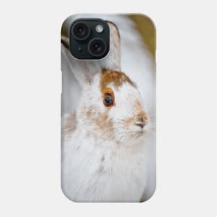 Show Shoe Hare Phone Case