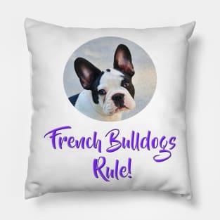 French Bulldogs Rule! Pillow