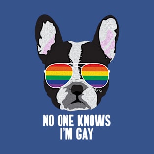 NO ONE KNOWS I'M GAY - Boston Terrier Dog Gay Pride Flag T-Shirt