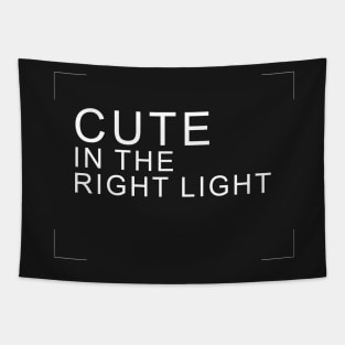 Cute in the right light! TBBT Tapestry