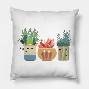 Pot Plants Pillow