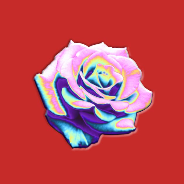 The Secret Rose by dinaaaaaah