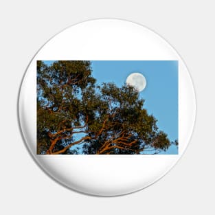 Reaching to the Moon - Adelaide Hills - Fleurieu Peninsula - Australia Pin