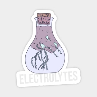 Electrolytes - Lightning in a Bottle Magnet