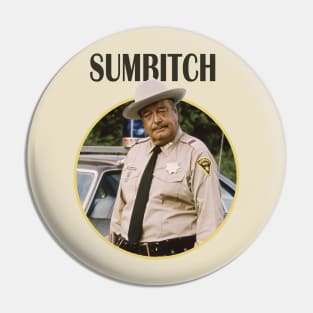 Sumbitch Vintage Pin