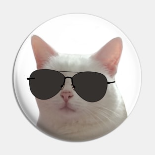 Kitten wearing aviator sunglasses Pin