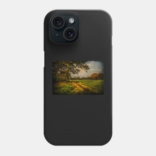 Tidmarsh Meadows in Autumn Phone Case