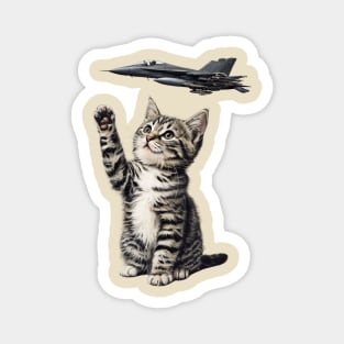 8647 F47 Cat Magnet