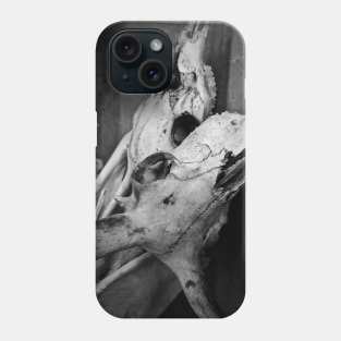 Vintage Skulls Phone Case