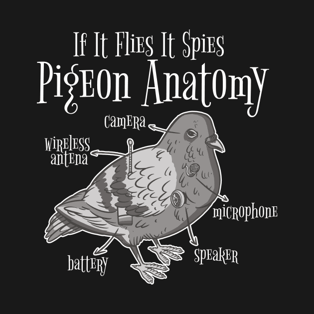 If It Flies It Spies Pigeon Anatomy Conspiracy Theory by Visual Vibes