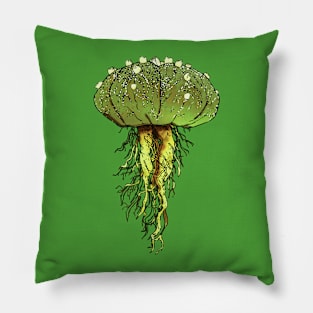 ASTROPHYTUM Sp. (Variant) By Agacactus Pillow