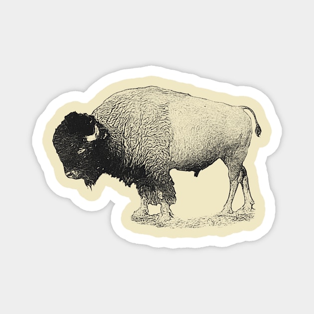 Bison Magnet by Guardi