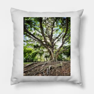 Mangrove Pillow