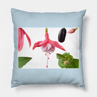 Fuchsia  Flower leaves bud and fruit Pillow