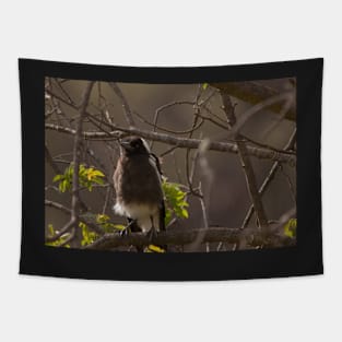 Baby Magpie Tapestry