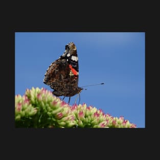 Red Admiral T-Shirt