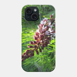 Lady Orchid in the Sunshine Phone Case