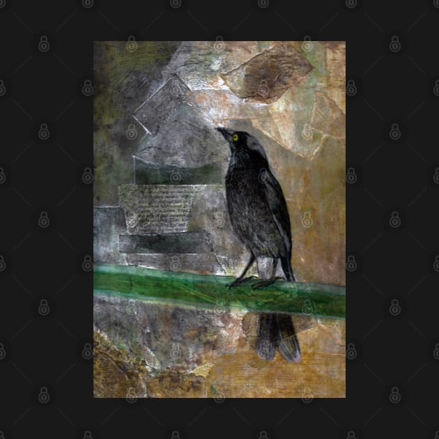 Pete, The Pied Currawong by DeborahMcGrath