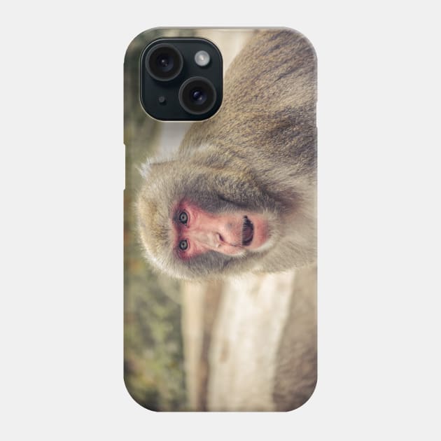 Snow Down Phone Case by Enzwell