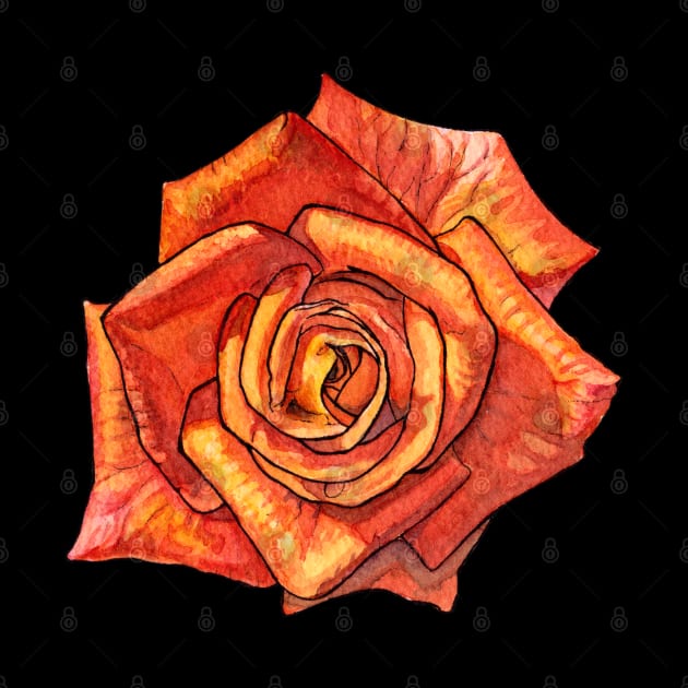 Orange Watercolor Rose by AquarellChill
