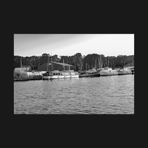 A view across the River Ant from Barton Turf staithe by yackers1