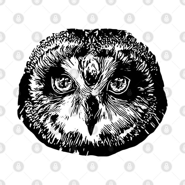 Owl by Nimmersatt