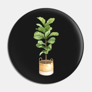 Fiddle leaf fig, houseplant, potted plant, fiddle leaf Pin