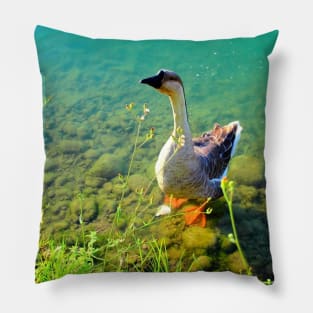 View from Santarelli lakes with a goose walking on some rocks in the aquamarine lake with fresh greenery Pillow