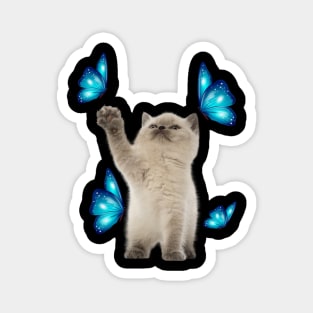 Cute White Cat With Butterfly Cat adoption For Cat Lover Magnet