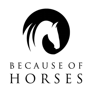 Because of horses! T-Shirt