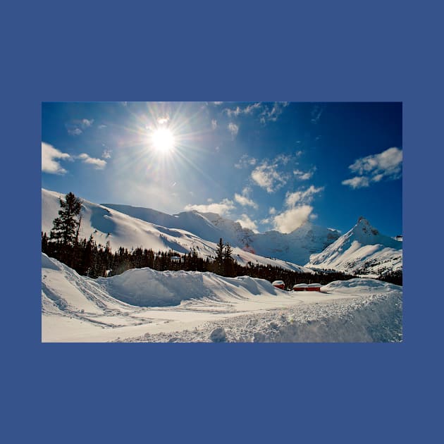 Canadian Rocky Mountains Icefields Parkway Canada by AndyEvansPhotos