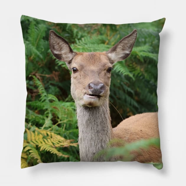 Red Deer Pillow by LeanneAllen