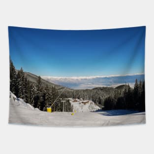 Bansko ski resort Tapestry