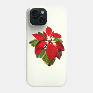 Poinsettia Plant Phone Case