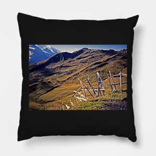 Near Grindelwald, Switzerland Pillow