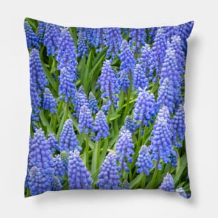 Grape Hyacinth (Muscari Armeniacum) Pillow