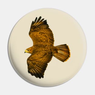 Buzzard in flight Pin