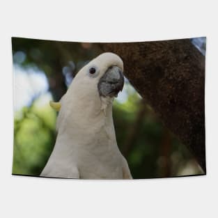 Cockatoo Tapestry